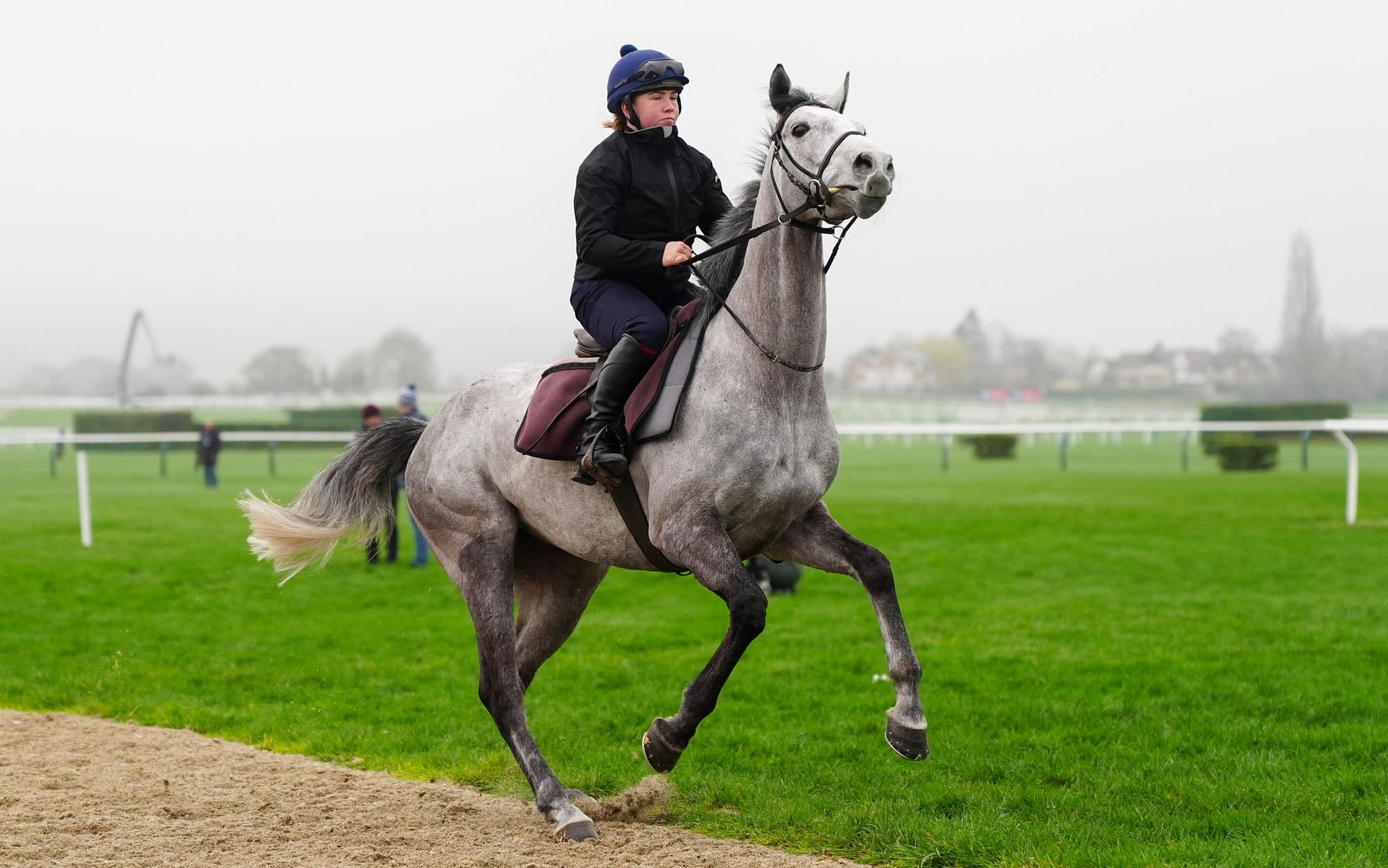 Cheltenham Festival day 1: Tips, races, odds and weather for Tuesday