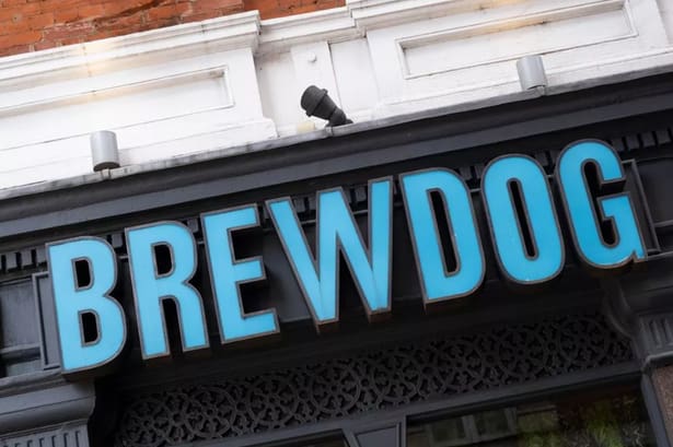BrewDog put up for sale as bosses call in financial experts